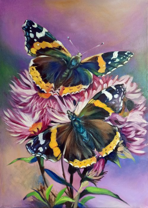 Butterflies by Magdalena Palega
