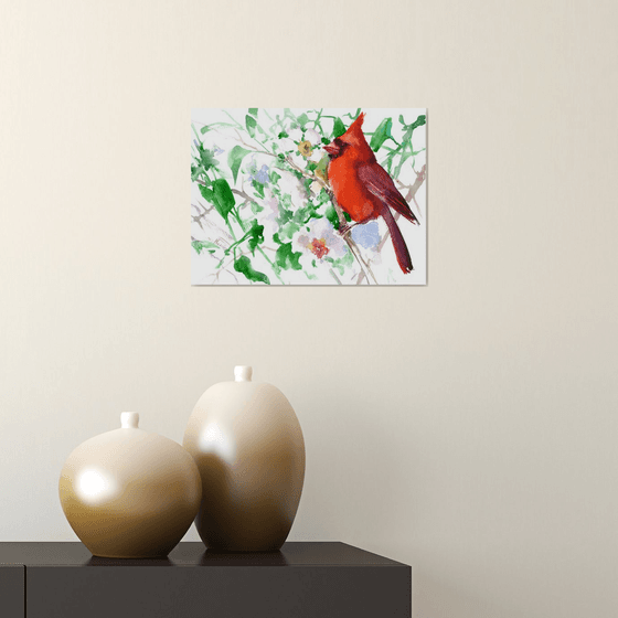Red Cardinal and Spring Blossom