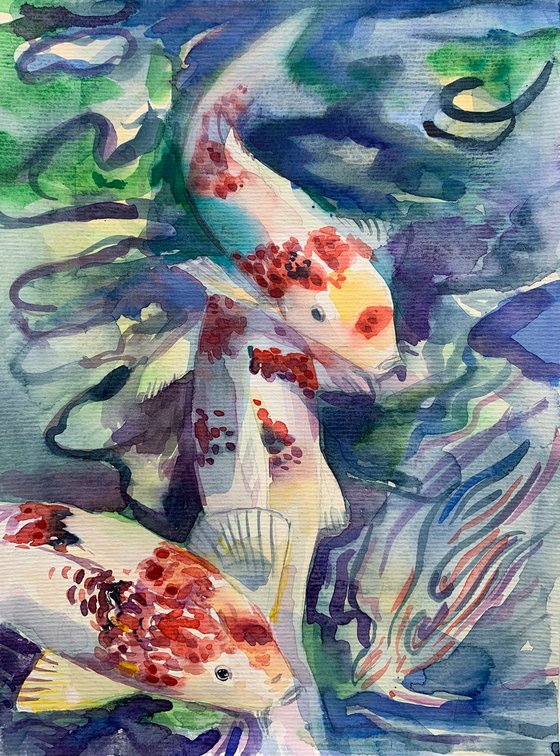 Koi fish