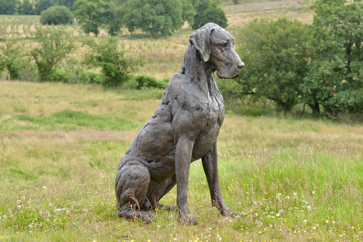 Animal Sculpture By Tanya Russell, 39 X 49", Great Dane Bronze Resin, Original Artwork