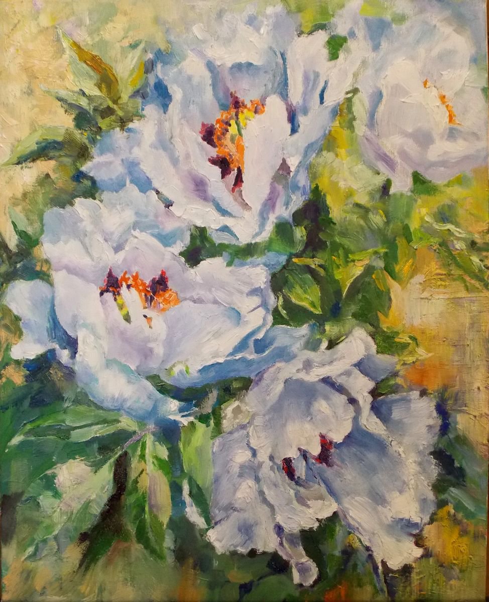 White Peonies #6 By Yurii Pashkov, 16 X 20, Artwork For Sale On Artfinder