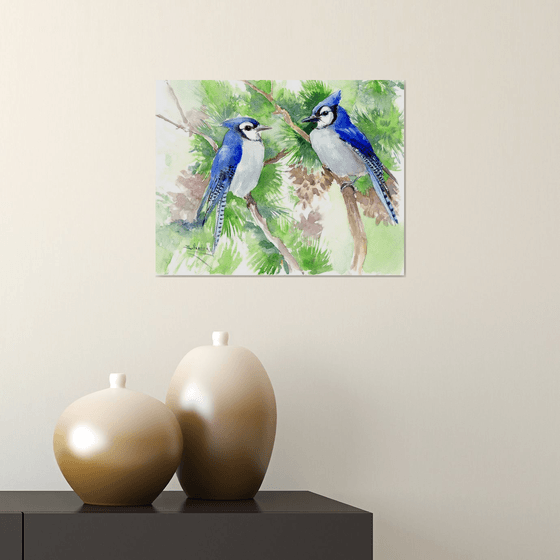 Blue Jay BIrds in the Forest