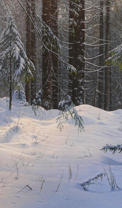Winter in the spruce forest by Mlynarcik Emil