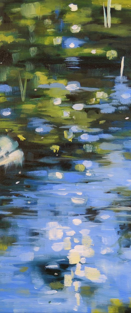 Dragonfly and reflection by Kerry Lisa Davies
