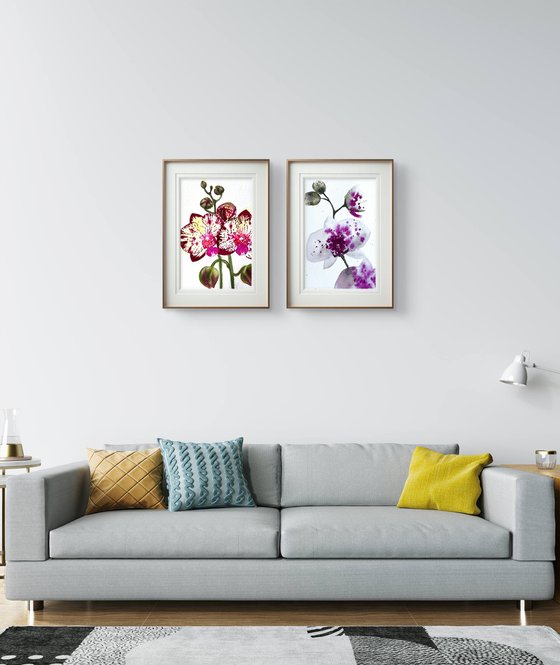 Twin Wild Orchid Purple