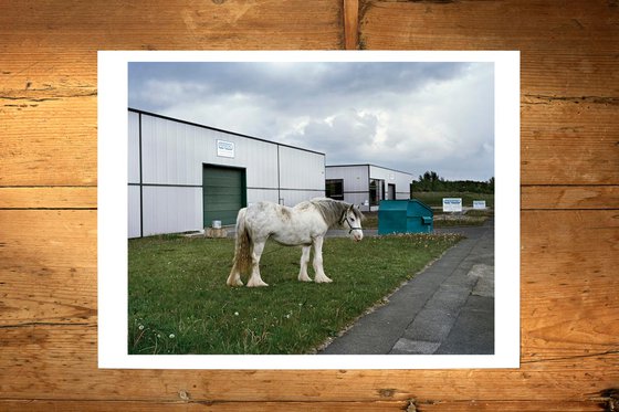 #43. Easington Colliery, UK. 2016