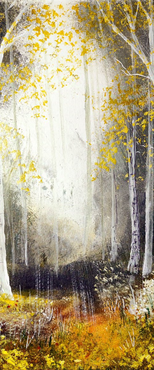 Autumnal woodland 4 by Jenny Moran