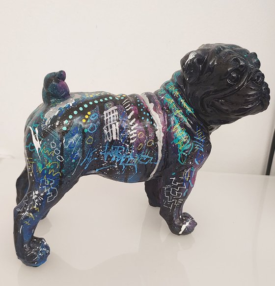 Bouledogue bleu nuit