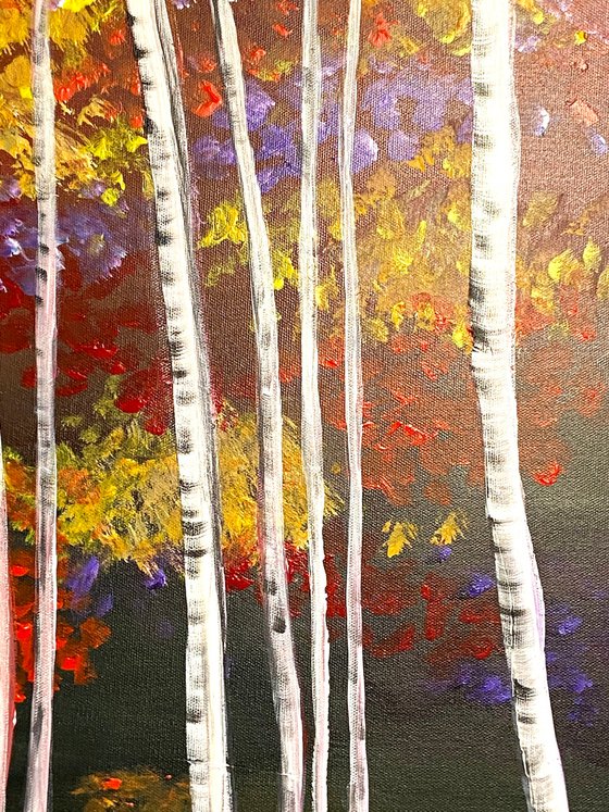 Birch Trees