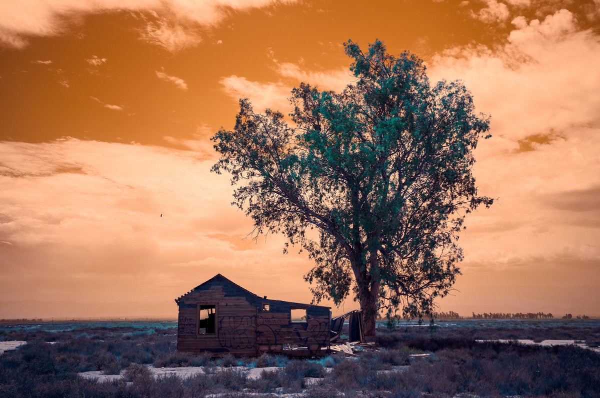 Abandoned Mojave VIII by Mark Hannah