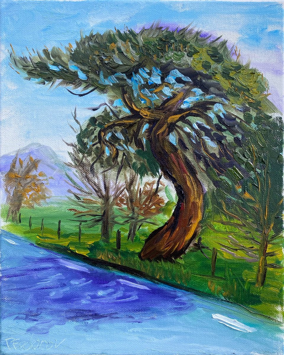 Impressionistic Landscape Oil Painting By Dmitry Fedorov, 10 X 12, Old Pine Tree. Pleinair, Original Artwork