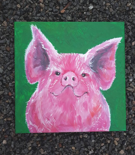 "Billy the pig"