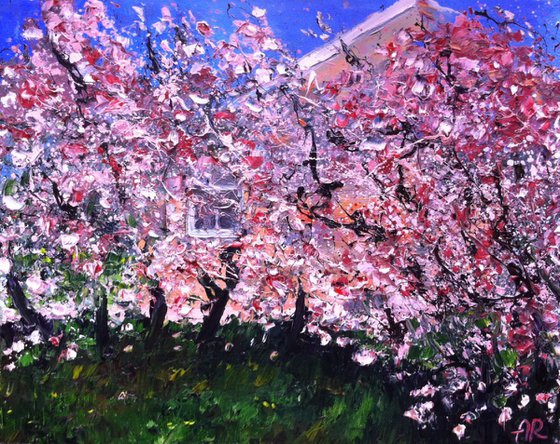 Cherry blossom