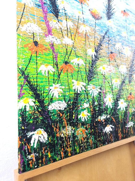 Daisy magic meadow