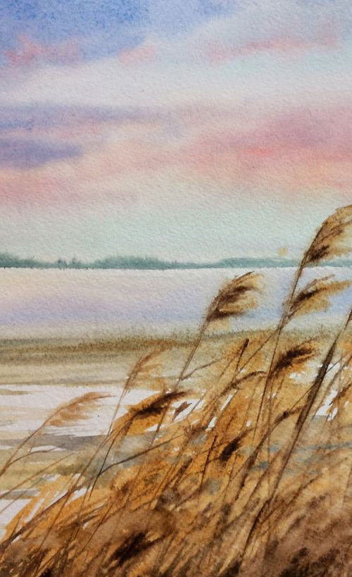Dry reed on the river - Dry Gr by Olga Beliaeva Watercolour