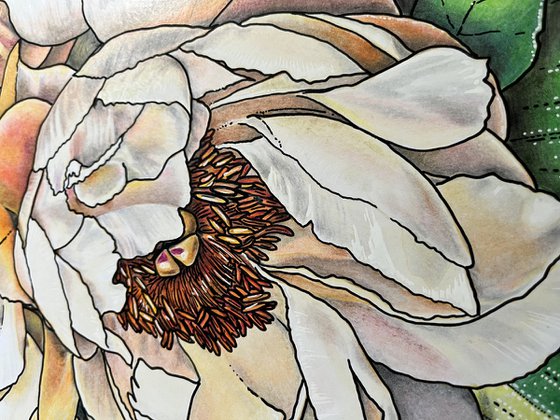 Peach Peony