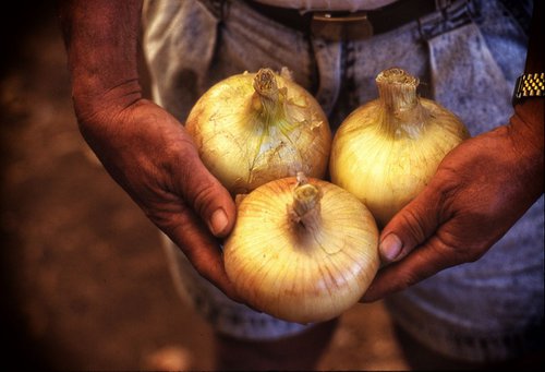 Maui Onions by Ron Colbroth