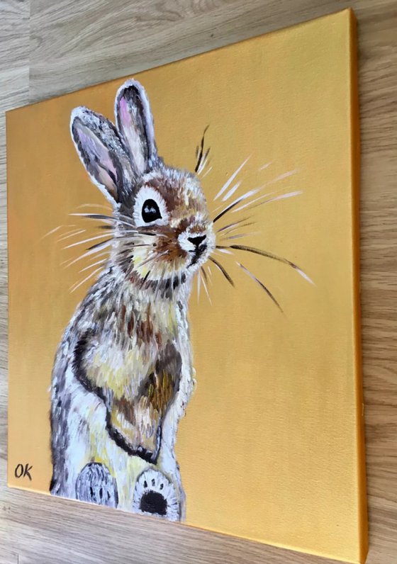 Golden bunny