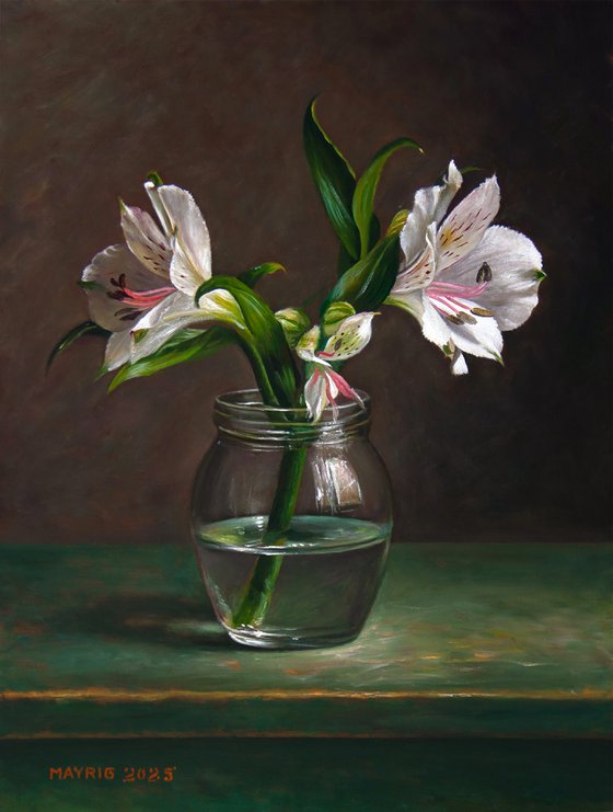 Inca Lily