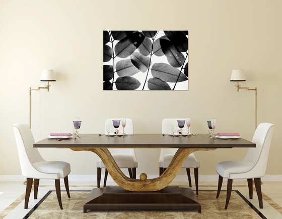 Experiments with Leaves II | Limited Edition Fine Art Print 1 of 10 | 90 x 60 cm