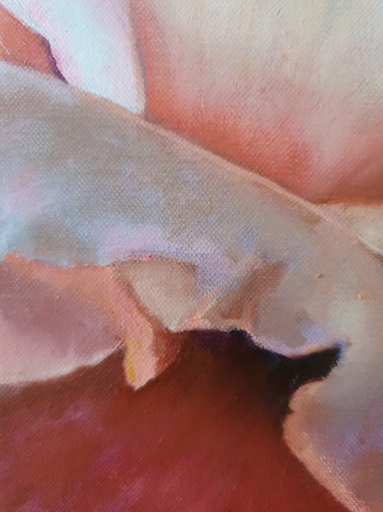 "With the first rays..." rose painting 2021