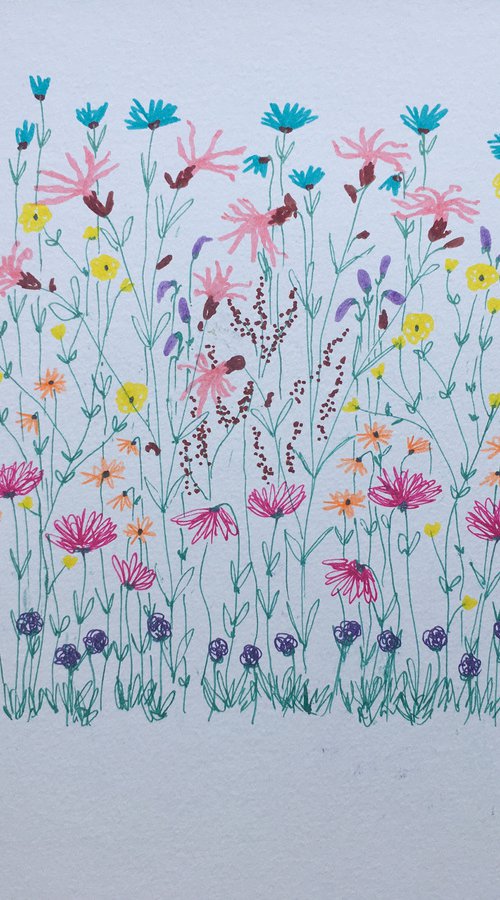 Flower meadow by Ruth Searle