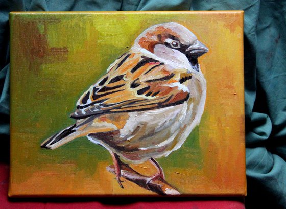 Wee Sparrow