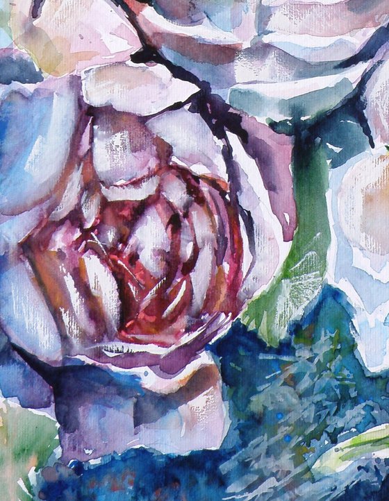 Roses