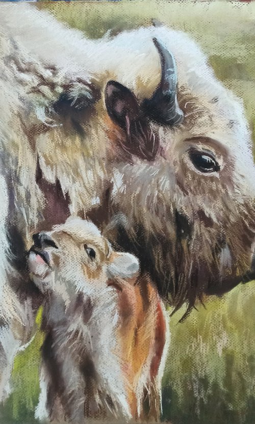 The white bison by Magdalena Palega