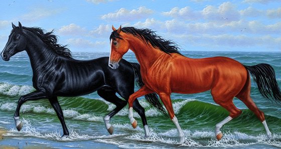 Horses Elegance by the Sea