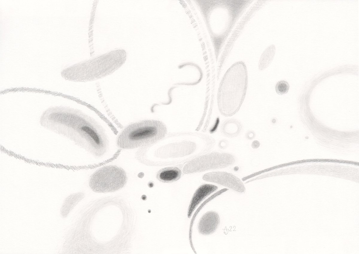 Geometric Abstract Pencil Drawing By Jolanta Czarnecka, 17 X 12, Not Exactly Good Idea, Original Artwork