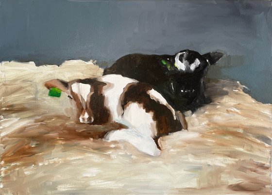 two calves