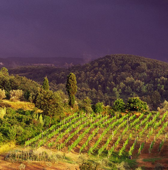 TUSCAN LANDSCAPE ITALY