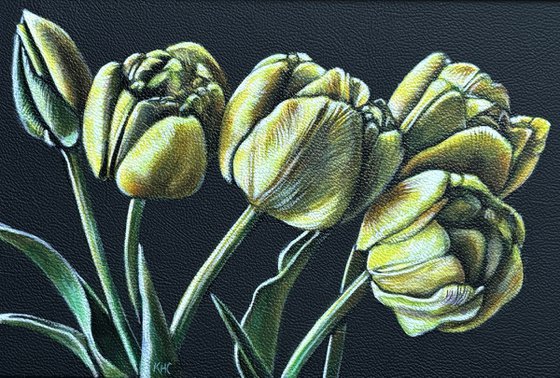 Yellow Tulips