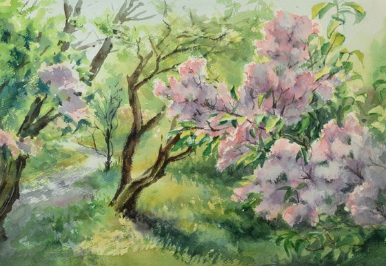 Lilac garden