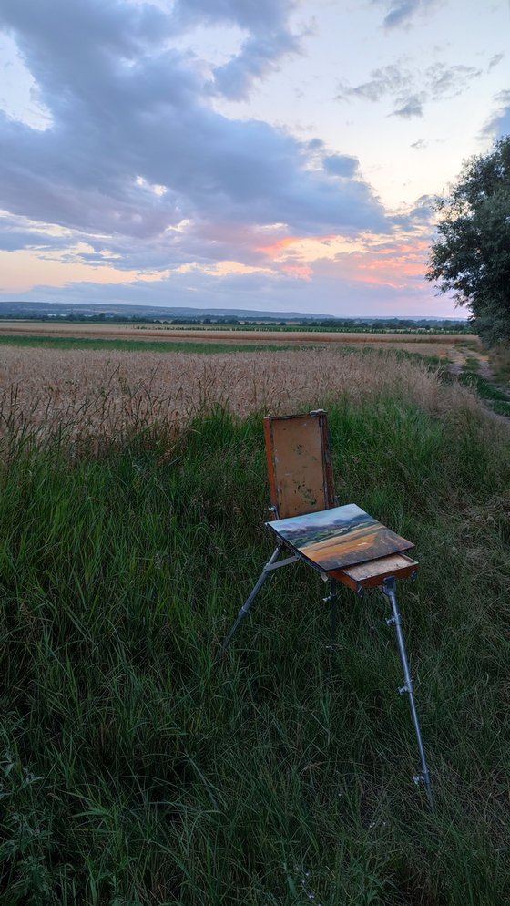 Ukrainian fields