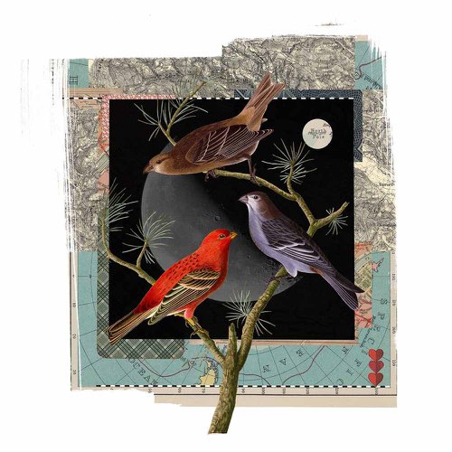 Moonbirds by James Bates