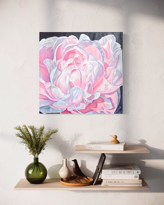 Pink peony