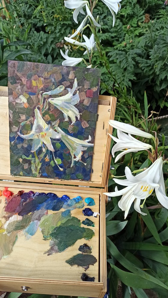 White lilies