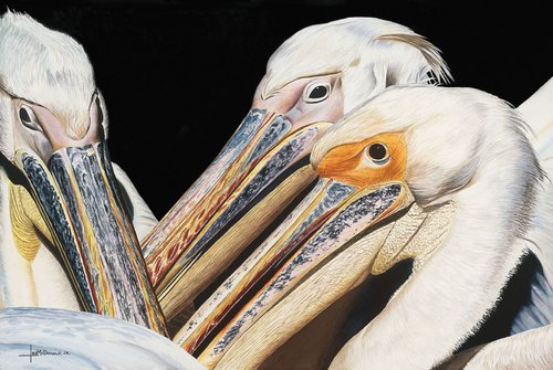Pelican Buddies by Leslie McDonald, Jr.
