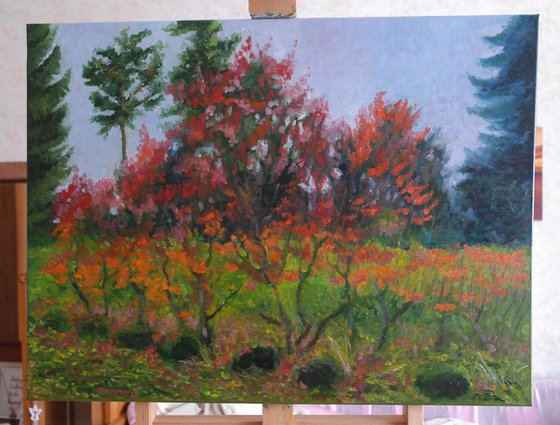 Autumn Landscape