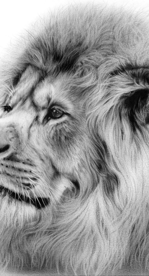 Lion by Danguole Serstinskaja