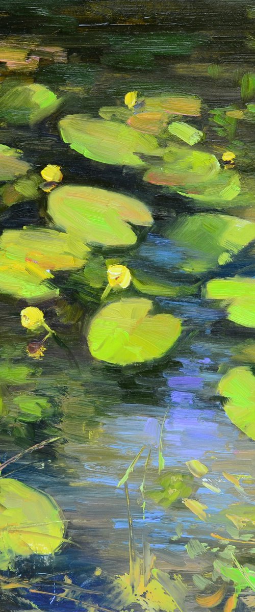 Water lilies by the shore by Ruslan Kiprych