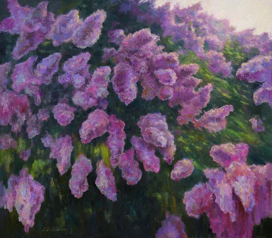 Lilacs Fading Into Light