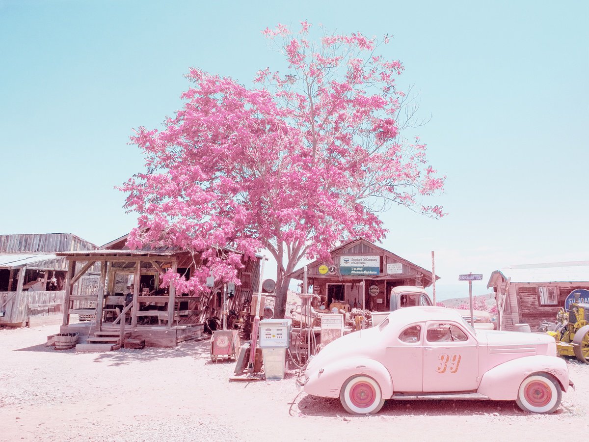 Urban And Pop Photograph , 387Th Avenue (Large) By Louise O