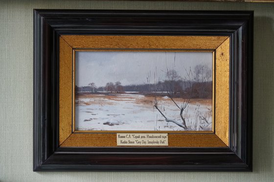 Gray day. Izmailovsky park