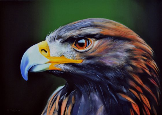 Falcon, Oil on canvas