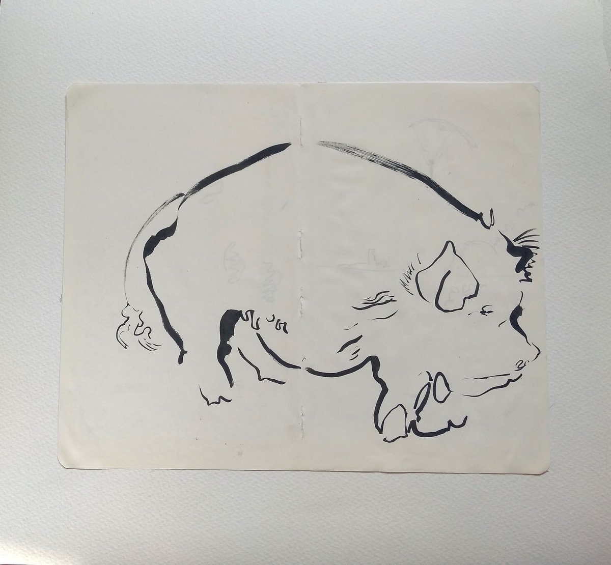 Pig by Hannah Clark
