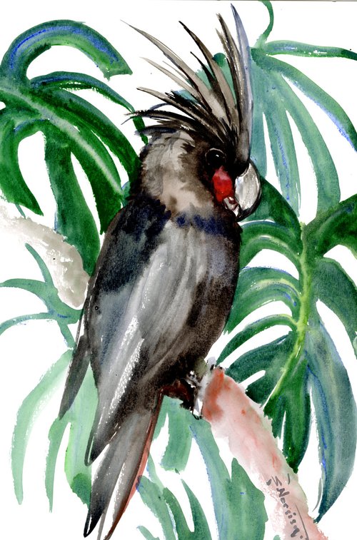 Palm Cockatoo by Suren Nersisyan
