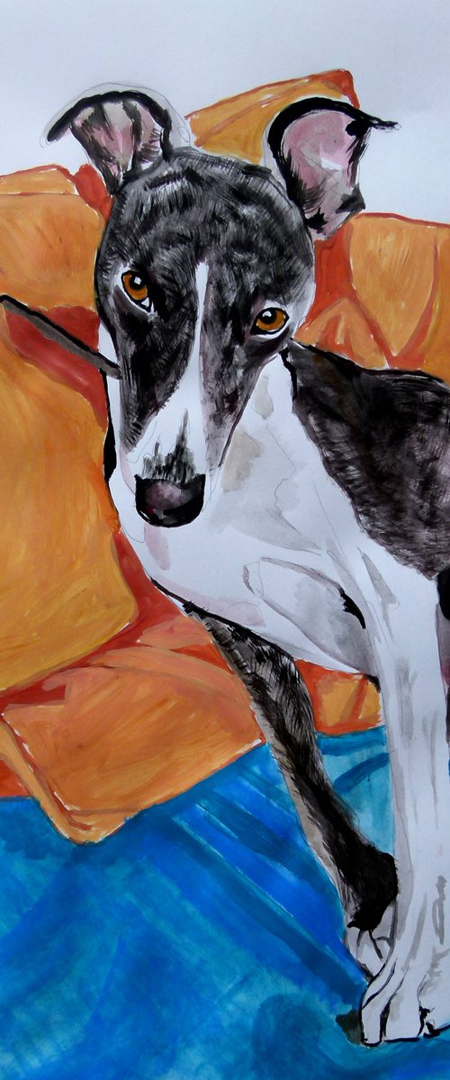 Whippet by Soso Kumsiashvili